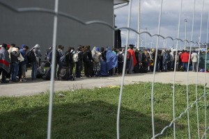 A_line_of_Syrian_refugees_crossing_the_border_of_Hungary_and_Austria_on_their_way_to_Germany._Hungary,_Central_Europe,_6_September_2015 (2)